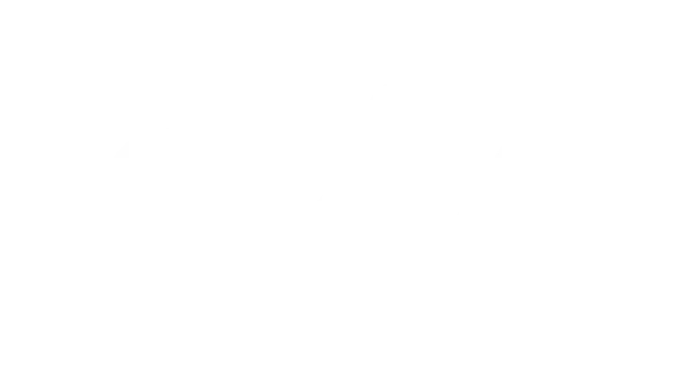 Streamviewiptv Network Logo Partner 1
