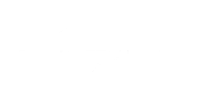 Streamviewiptv Network Logo Partner 14