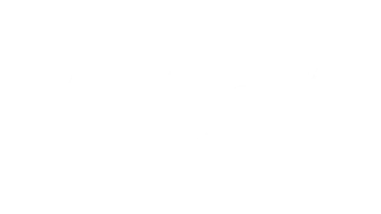 Streamviewiptv Network Logo Partner 4